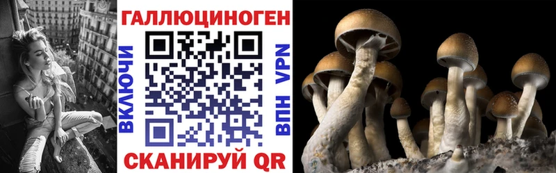 Купить  Аша  Галлюциногенные грибы мухоморы 